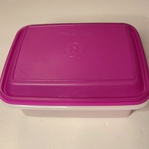 Vintage Tupperware Ice Cream Keeper #1254 base #1255 Fuschia Lid